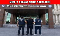 Muş'ta 3 yıl 9 ay hapis cezasıyla aranan şahıs yakalandı