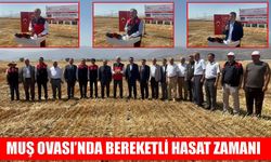 Muş Ovası'nda ‘Bereket Hasadı Zamanı’: 11 milyar liralık ekonomik katkı bekleniyor
