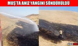 Muş'ta dağlık alandaki anız yangını kontrol altına alındı