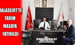 Malazgirt Kaymakamı Kahraman tarım çalışmalarını inceledi
