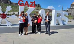 Şiddetle mücadelede farkındalık çalışmaları sürüyor