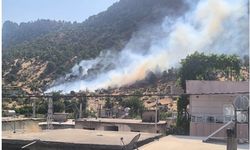 Siirt’te Orman Yangını Erken Müdahaleyle Söndürüldü