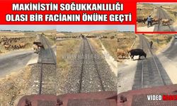 Muş Ovası'nda facianın eşiğinden dönüldü