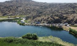 Iğdır'da sıcaktan bunalanlar Ağrı Dağı eteklerinde serinlemeye çalıştı