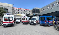 Van'da göle giren 2 kardeş hayatını kaybetti
