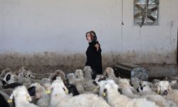 Elazığlı kadın girişimci devlet desteğiyle çiftlik kurdu