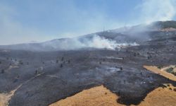 Tunceli'deki orman yangını söndürüldü