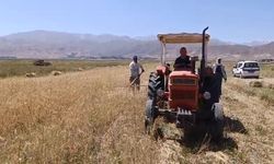 Yüksekova’da sıcak havaya rağmen çiftçilerin hasat mesaisi başladı
