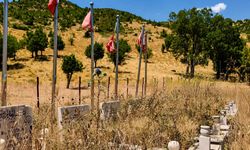 Cevizdalı köylülerinden çağrı: “Yeniden Bitlis’e bağlanmak istiyoruz”