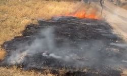 Elazığ’da Otluk Alanda Çıkan Yangın Söndürüldü