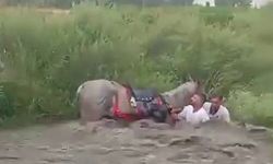 Cirit takımı sele kapılmaktan son anda kurtuldu