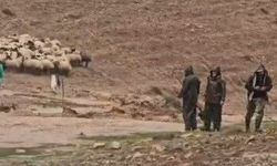 Tunceli’de selin vurduğu yaylalarda üreticiler zor anlar yaşadı
