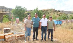 Erzincan’da Arıcılık ve Vatan Sevgisi Aynı Arılıkta Buluştu