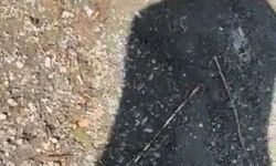 Hazar Gölü’nde Yılanlı Şaka Kamerada