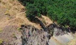 Bingöl'de nesli tükenme tehlikesi altında dağ keçisi görüntülendi