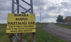 Kuduz nedeniyle mahalleye giriş çıkışlar yasaklandı