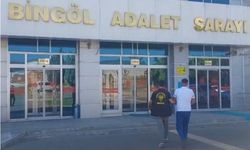 Bingöl’de hırsızlık şüphelisi tutuklandı