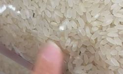 Elazığ'da paketli bir pirinç içerisinde böcekler görüntülendi