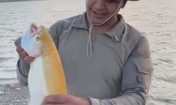 Keban Baraj Gölü’nde sarı renkli albino alabalık yakalandı
