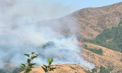 Bingöl'de örtü yangınına müdahale sürüyor