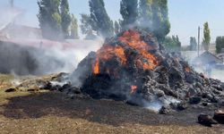 Kars’ta bin ot balyası kül oldu