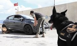 Erzincan’da uyuşturucuyla mücadelede görev yapan narkotik köpeği emekliye ayrıldı