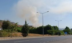 Bingöl’de otluk alanda çıkan yangın büyümeden söndürüldü