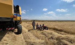 Kars’ta biçerdöver hasadı kontrolleri sıklaştırıldı