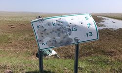 Arpaçay’da yol tabelalarını hedef tahtasına çevirdiler