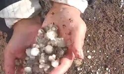 Arpaçay’da Dolu Sürprizi: Yayladakiler Hazırlıksız Yakalandı