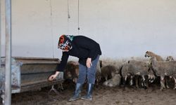 Devlet desteğiyle kurduğu çiftlikte kadın girişimcilere örnek oldu