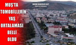 TÜİK açıkladı: Muş’un otomobil filosu birçok büyükşehri geride bıraktı