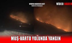 Muş-Varto karayolunda yangın paniği!