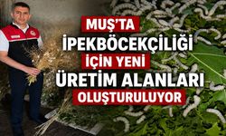 Muş’ta ipekböcekçiliği denemelerinde ilk sonuçlar yüz güldürdü
