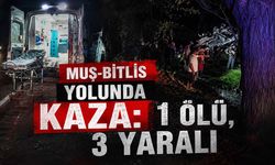 Muş-Bitlis karayolunda feci kaza: 1 ölü, 3 yaralı