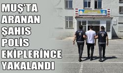Muş’ta 2 yıl kesinleşmiş hapis cezası bulunan hükümlü yakalandı