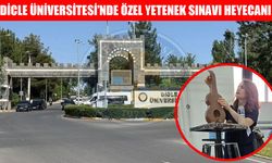 Dicle Üniversitesi resim-iş öğretmenliği bölümüne özel yetenekle öğrenci alınacak