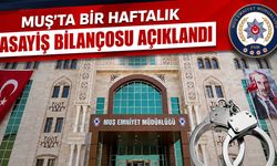 Muş’ta 1 haftada 9 binden fazla kişi sorgulandı, 9 kişi tutuklandı