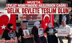 TBMM'deki düzenleme Muş'taki evlat nöbetindekilere umut oldu: Dağdaki gençler için tarihi fırsat