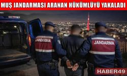 Muş’ta 4 yıl 2 ay hapis cezası bulunan firari hükümlü yakalandı