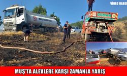 Muş'ta çıkan orman yangını kontrol altına alındı