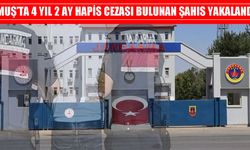 Muş’ta dolandırıcılık suçundan aranan firari yakalandı