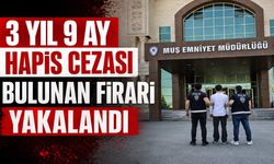 Muş'ta 3 yıl 9 ay hapis cezası olan firari yakalandı