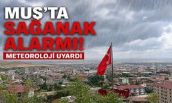 Muş için sağanak yağış uyarısı: Meteoroloji'den sarı kod alarmı!
