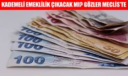 Kademeli Emeklilikte Son Durum: 2000-2008 Arası Sigorta Girişi Olanlar Emekli Olacak mı?