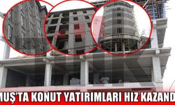 Muş’ta inşaat sektörü hareketlendi: Yapı ruhsatı verilen daire sayısı 2 bini aştı