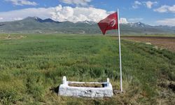 Erzurum Ovası’ndaki 149 yıllık şehit kabri yenilendi