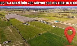 Muş’taki 4 taşınmaza rekor fiyat: 268 milyonluk dev ihale!
