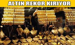 Altında rekor üstüne rekor! Yükselişin nedeni ne?