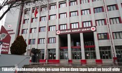 Tüketici mahkemelerinde en uzun süren dava tapu iptali ve tescil oldu
